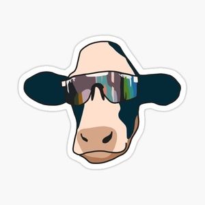 Meet your Posher, Max